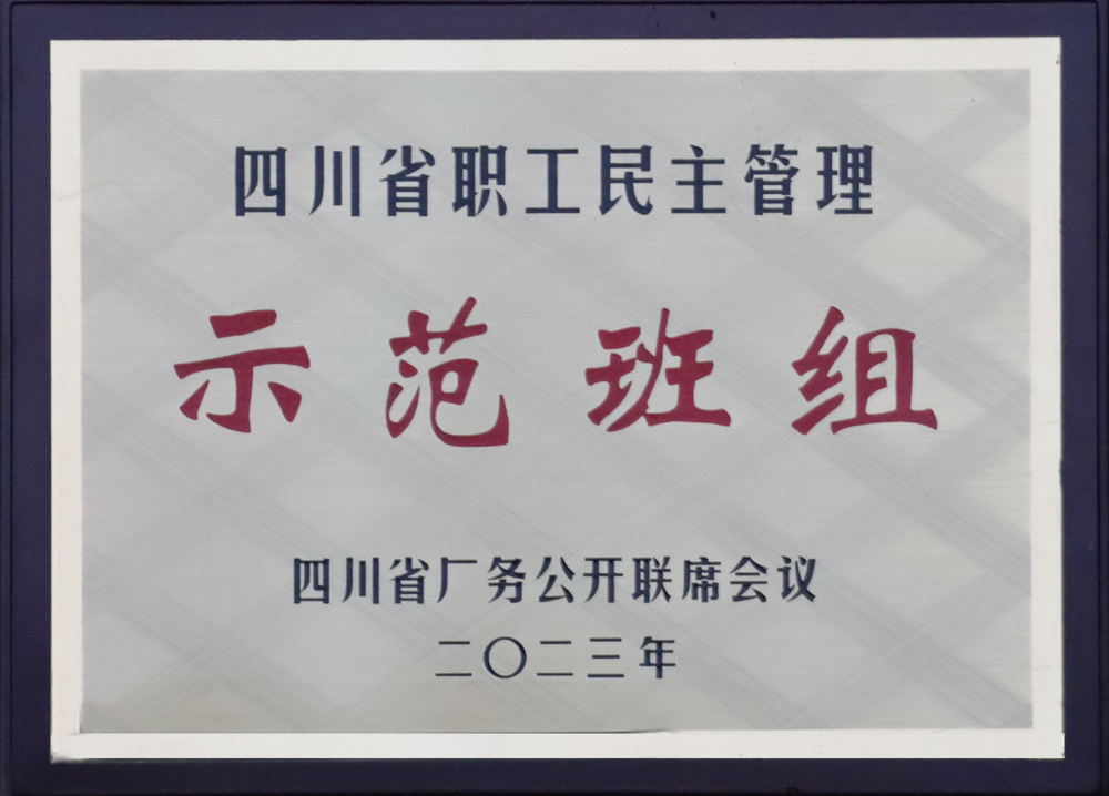 集團(tuán)電氣維保車間一班獲評(píng)省職工民主管理示范班組